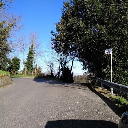 Il Piccolo Lord Lägenhet La Spezia Exteriör bild