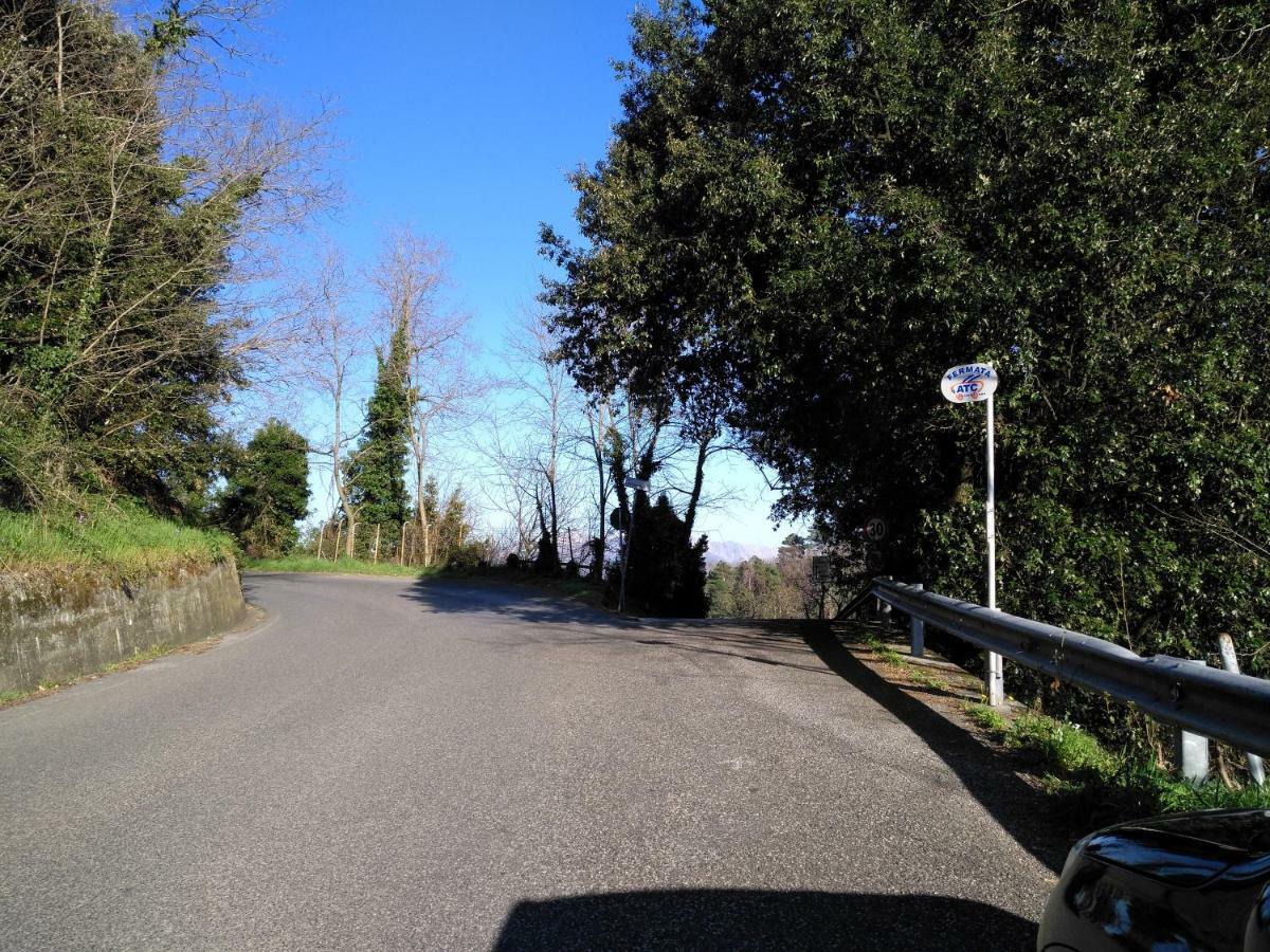 Il Piccolo Lord Lägenhet La Spezia Exteriör bild